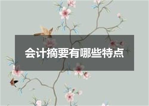 会计摘要有哪些特点