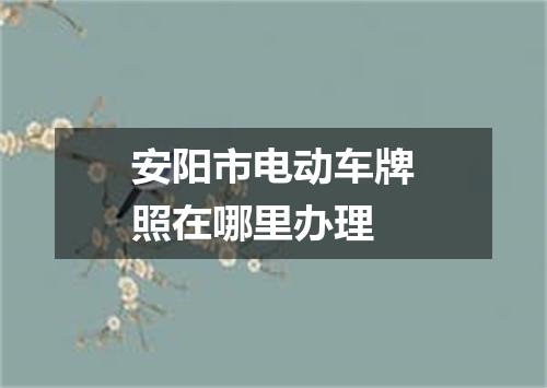 安阳市电动车牌照在哪里办理