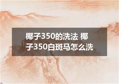 椰子350的洗法 椰子350白斑马怎么洗