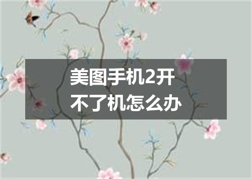 美图手机2开不了机怎么办