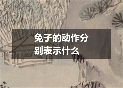 兔子的动作分别表示什么