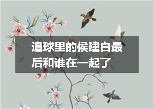 追球里的侯建白最后和谁在一起了