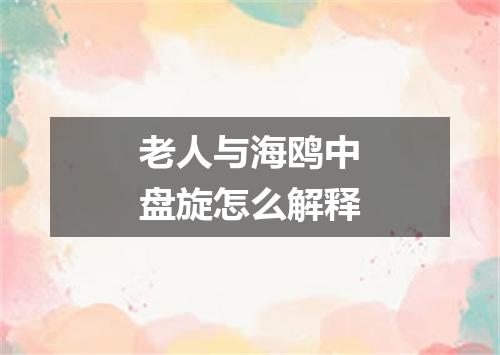 老人与海鸥中盘旋怎么解释