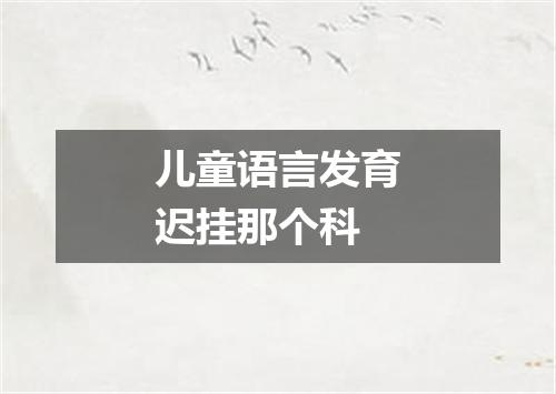 儿童语言发育迟挂那个科