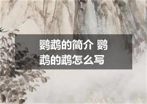 鹦鹉的简介 鹦鹉的鹉怎么写