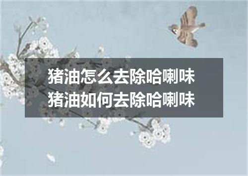 猪油怎么去除哈喇味 猪油如何去除哈喇味