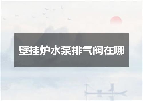 壁挂炉水泵排气阀在哪