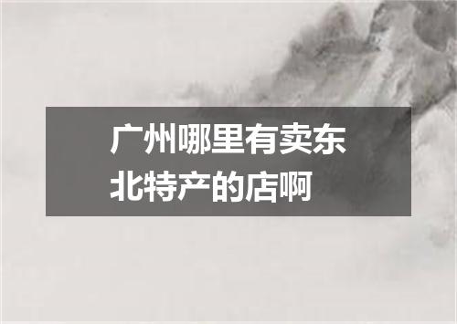 广州哪里有卖东北特产的店啊