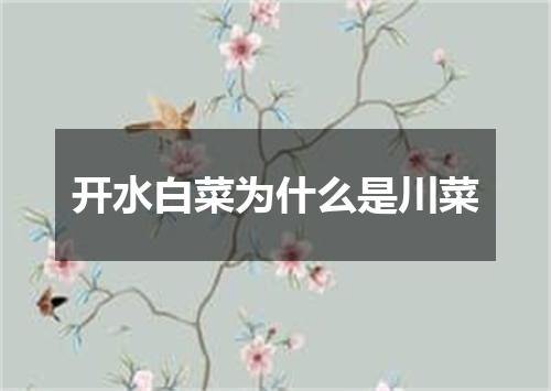 开水白菜为什么是川菜