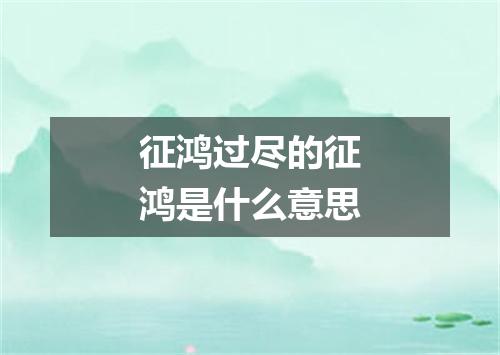 征鸿过尽的征鸿是什么意思