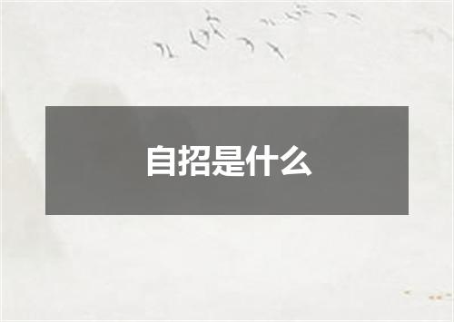 自招是什么