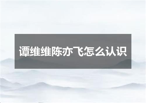 谭维维陈亦飞怎么认识