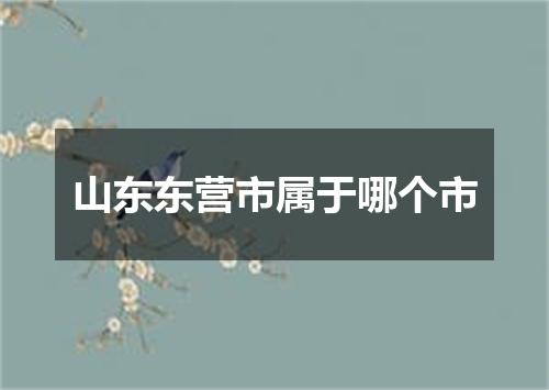 山东东营市属于哪个市