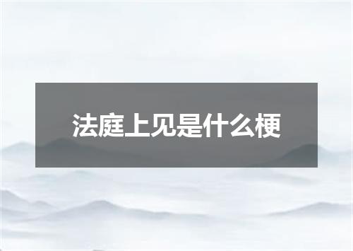 法庭上见是什么梗