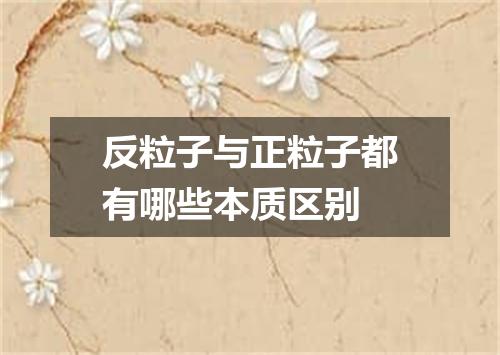 反粒子与正粒子都有哪些本质区别