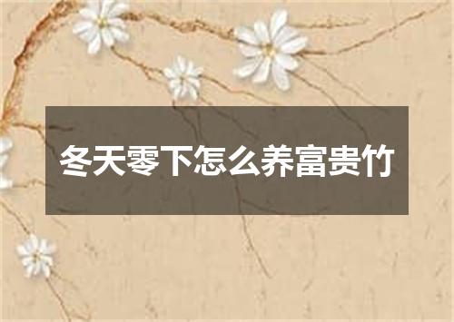 冬天零下怎么养富贵竹