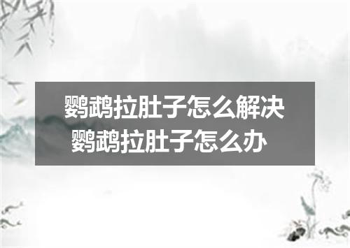 鹦鹉拉肚子怎么解决 鹦鹉拉肚子怎么办