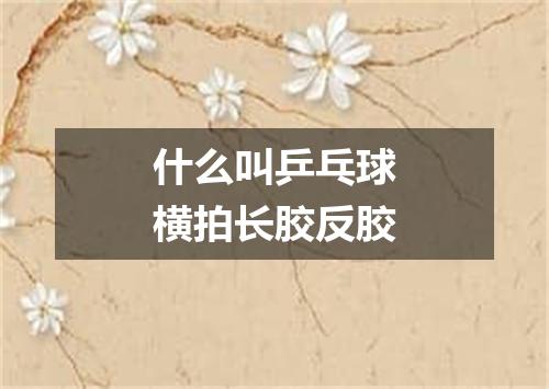 什么叫乒乓球横拍长胶反胶