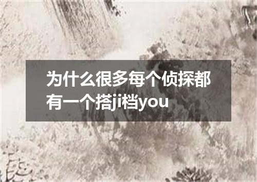 为什么很多每个侦探都有一个搭ji档you