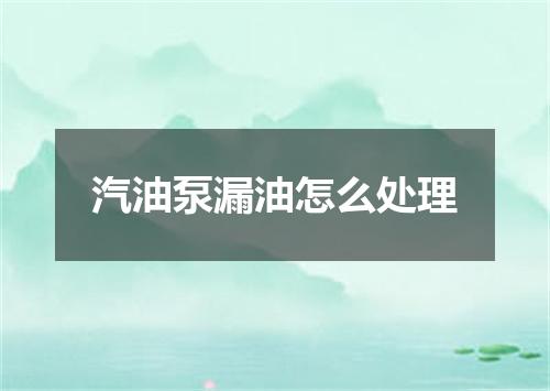 汽油泵漏油怎么处理