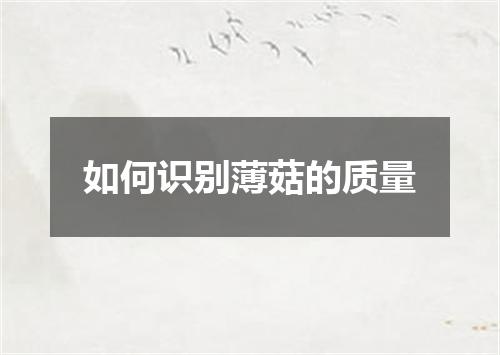 如何识别薄菇的质量