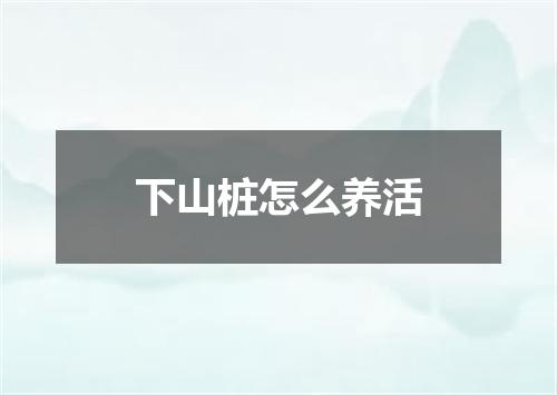 下山桩怎么养活