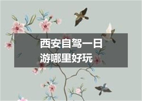 西安自驾一日游哪里好玩