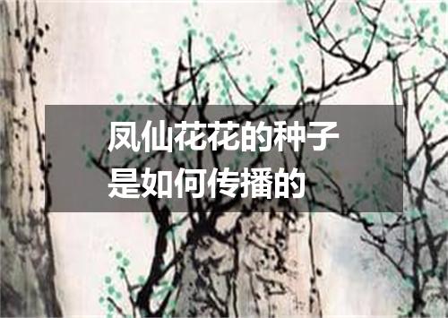 凤仙花花的种子是如何传播的