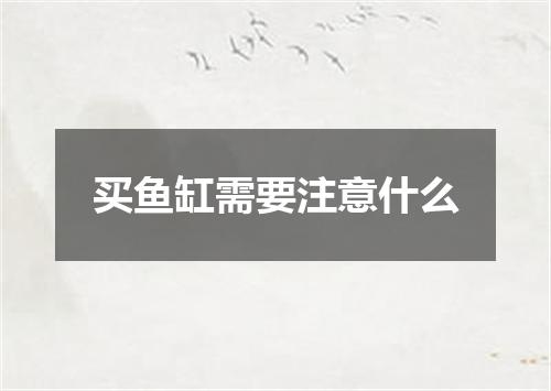 买鱼缸需要注意什么