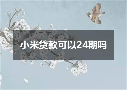 小米贷款可以24期吗