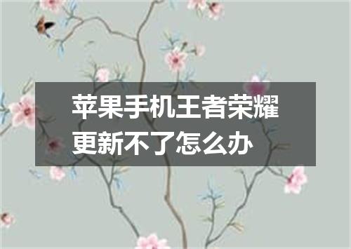 苹果手机王者荣耀更新不了怎么办
