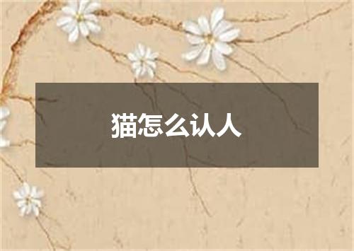 猫怎么认人