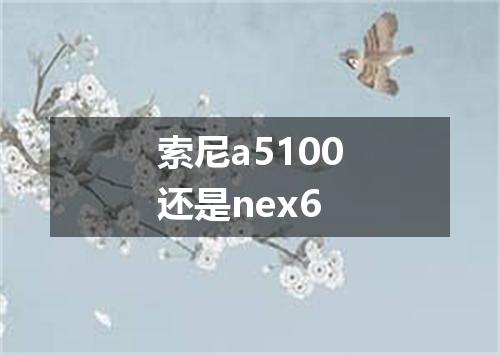 索尼a5100还是nex6