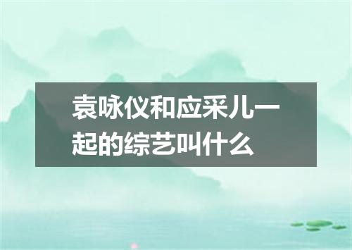袁咏仪和应采儿一起的综艺叫什么