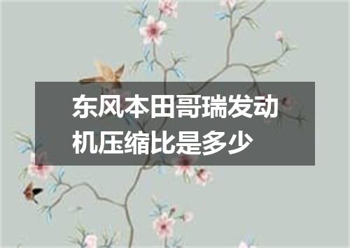 东风本田哥瑞发动机压缩比是多少