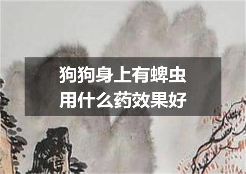 狗狗身上有蜱虫用什么药效果好