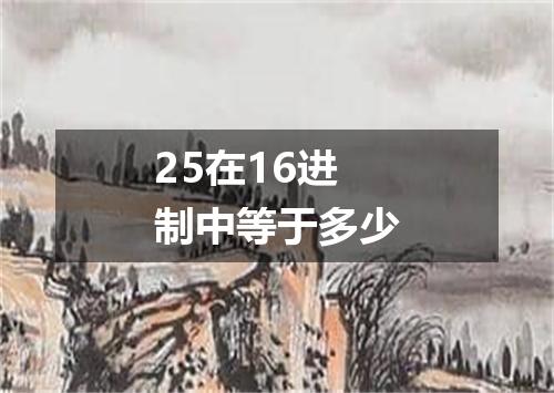 25在16进制中等于多少