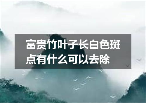 富贵竹叶子长白色斑点有什么可以去除