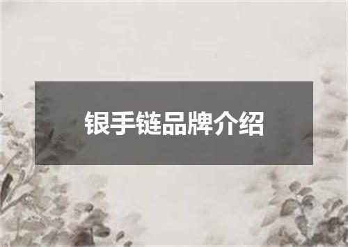 银手链品牌介绍