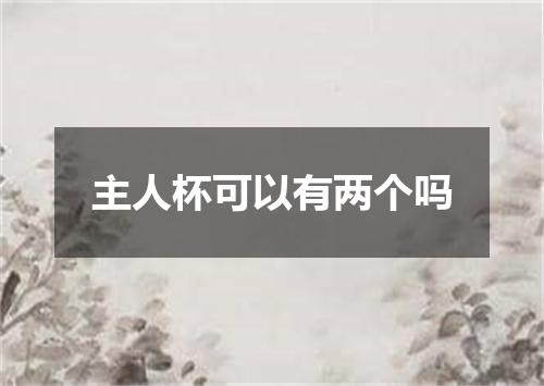主人杯可以有两个吗