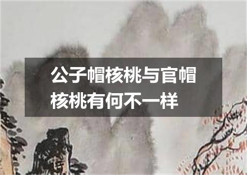 公子帽核桃与官帽核桃有何不一样