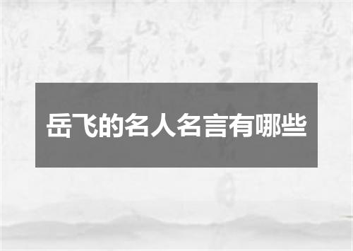 岳飞的名人名言有哪些