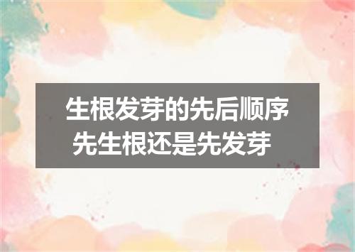 生根发芽的先后顺序 先生根还是先发芽