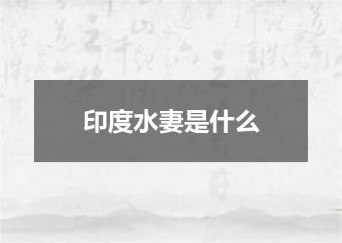印度水妻是什么