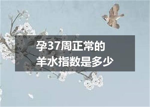 孕37周正常的羊水指数是多少