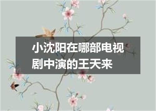 小沈阳在哪部电视剧中演的王天来