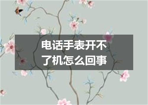 电话手表开不了机怎么回事