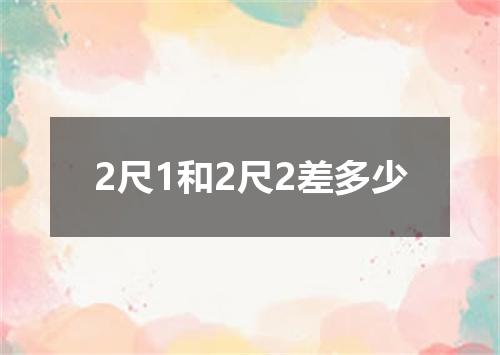 2尺1和2尺2差多少