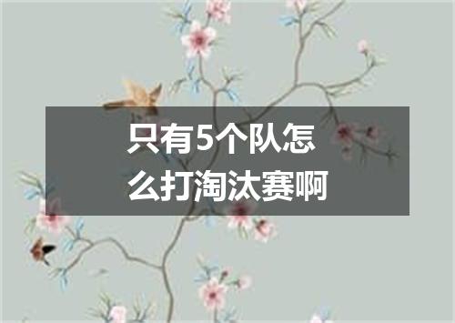 只有5个队怎么打淘汰赛啊