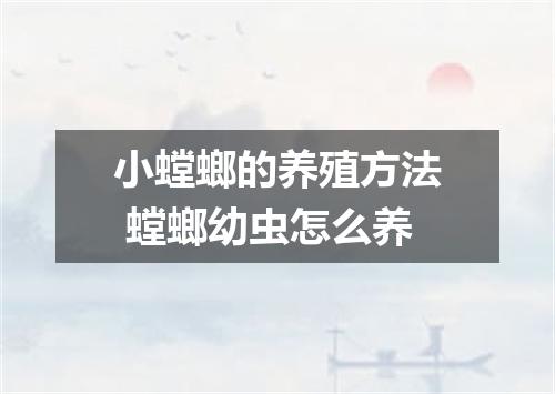 小螳螂的养殖方法 螳螂幼虫怎么养